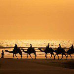 Camel riding travel insurance
