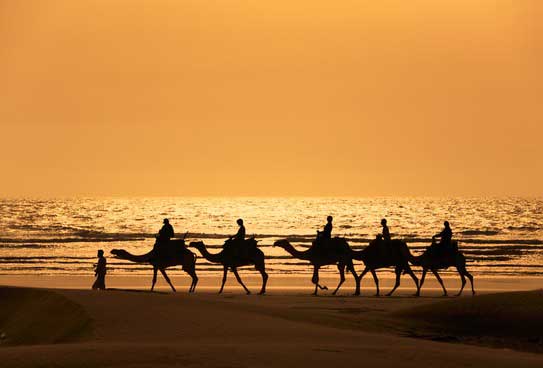 Camel riding travel insurance